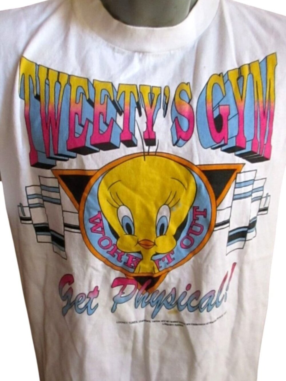Tweety Bird True Vintage T-shirt Large Single Stitch Workout Gym Delta USA